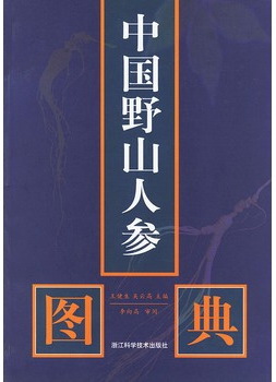 中国野山人参图典