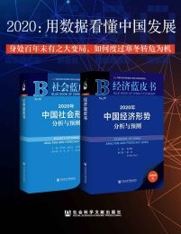 2020：用数据看懂中国发展（经济蓝皮书+社会蓝皮书）(epub+azw3+mobi)